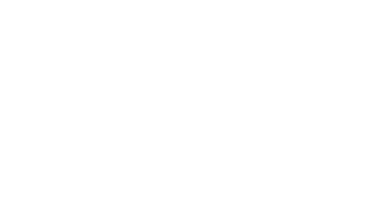 Global Logistics Inc